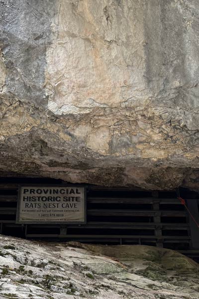Entrance to Rat's Nest Cave, Canmore Alberta, showing Provincial Historic Resource sign, Graymont security gate, and faded indigenous ochre pictographs on limestone overhang — Canadian Rockies Bow Valley